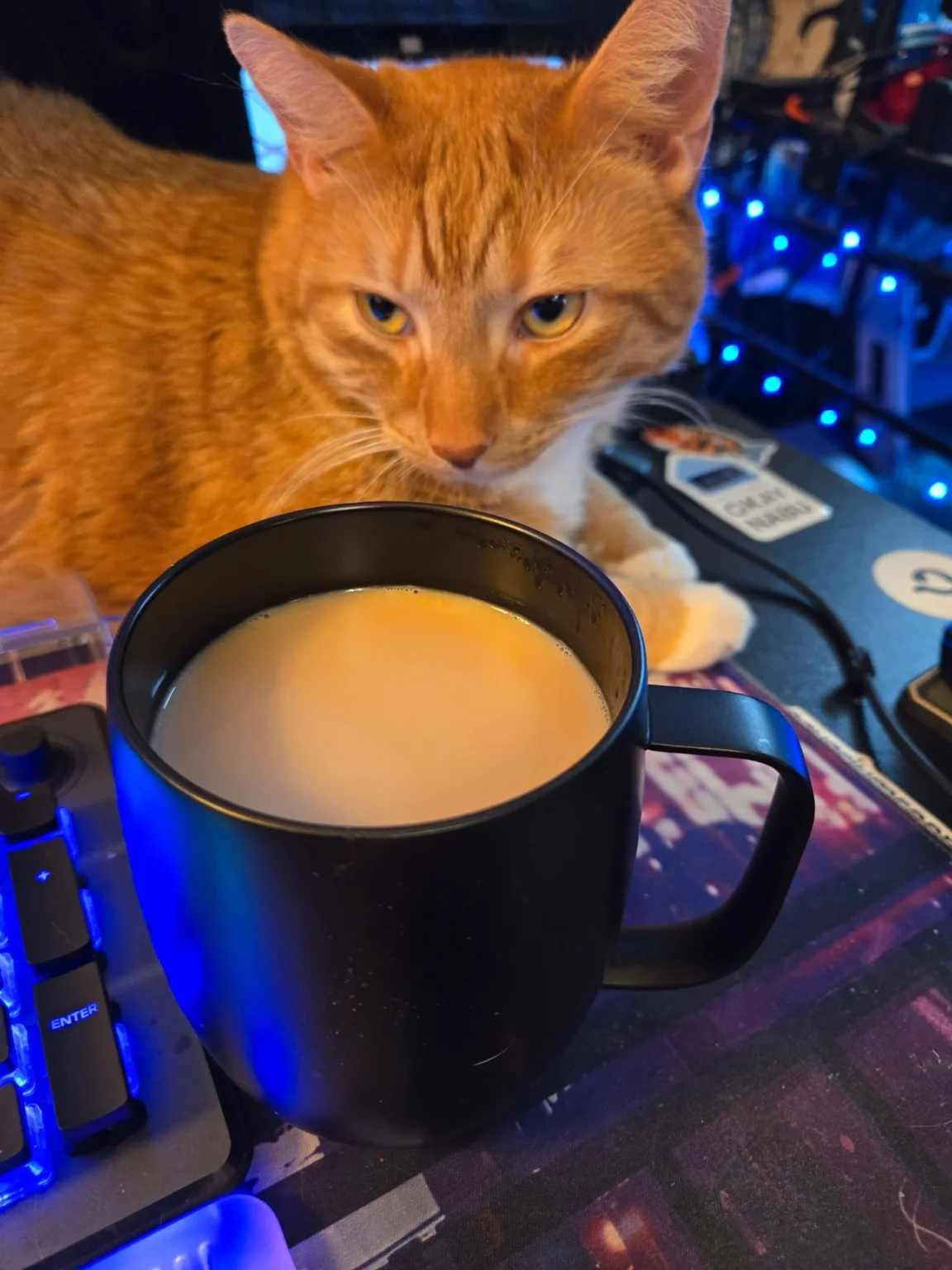 First Coffee Thoughts April 1 2025