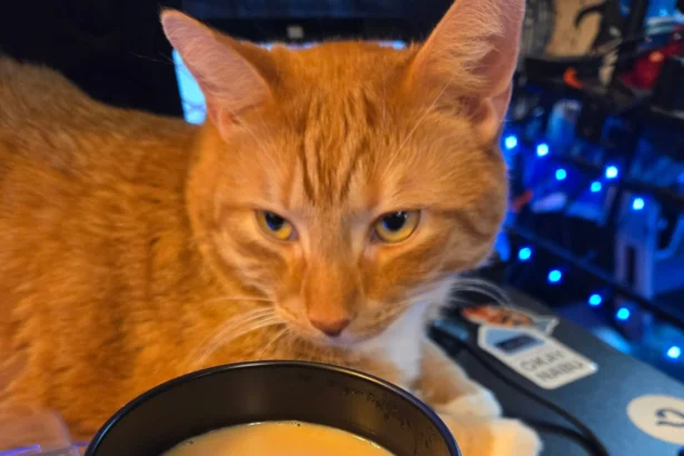 First Coffee Thoughts April 1 2025