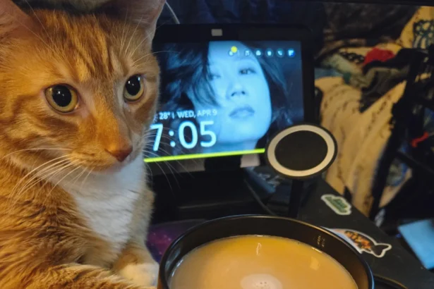 First Coffee Thoughts April 9 2025